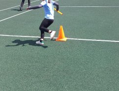 img (6)